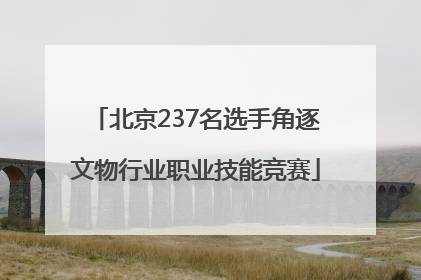 北京237名选手角逐文物行业职业技能竞赛