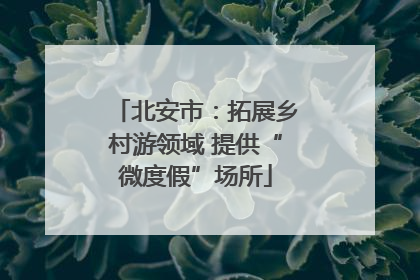 北安市：拓展乡村游领域 提供“微度假”场所
