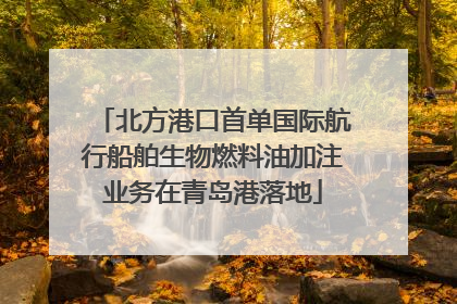 北方港口首单国际航行船舶生物燃料油加注业务在青岛港落地