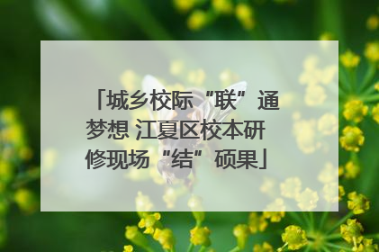 城乡校际“联”通梦想 江夏区校本研修现场“结”硕果