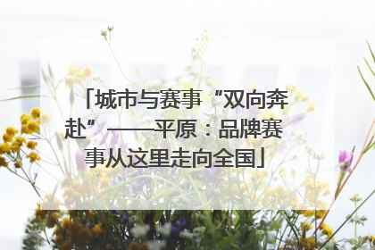 城市与赛事“双向奔赴”——平原：品牌赛事从这里走向全国