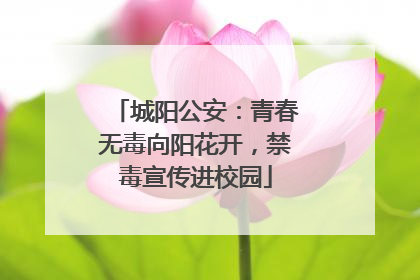 城阳公安：青春无毒向阳花开，禁毒宣传进校园