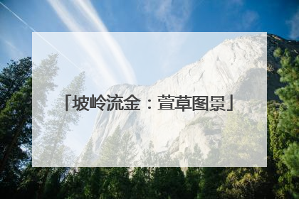 坡岭流金：萱草图景