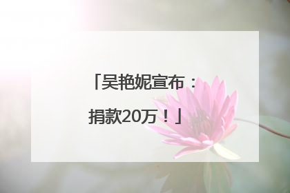 吴艳妮宣布：捐款20万！