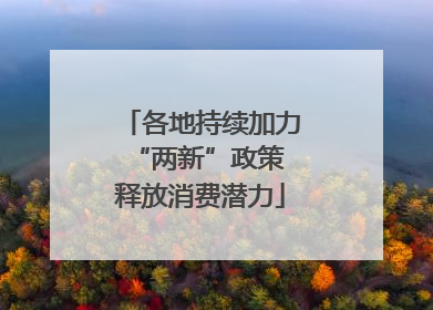 各地持续加力“两新”政策 释放消费潜力