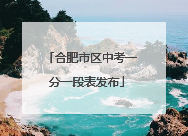 合肥市区中考一分一段表发布