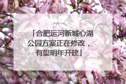 合肥运河新城心湖公园方案正在修改，有望明年开建