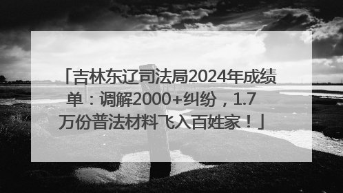 吉林东辽司法局2024年成绩单：调解2000+纠纷，1.7万份普法材料飞入百姓家！