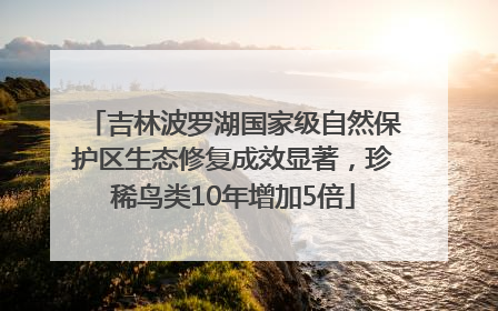 吉林波罗湖国家级自然保护区生态修复成效显著，珍稀鸟类10年增加5倍