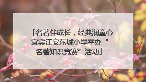 名著伴成长，经典润童心 宜宾江安东城小学举办“名著知识竞赛”活动