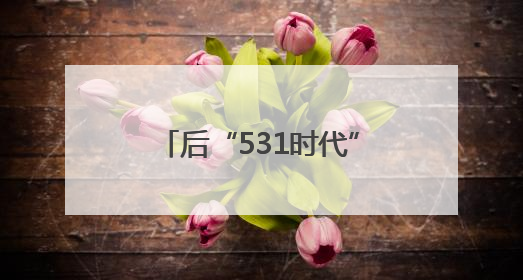 后“531时代”来袭！隆基绿能发布轻质组件，分布式市场后续会怎么走