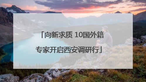 向新求质 10国外籍专家开启西安调研行