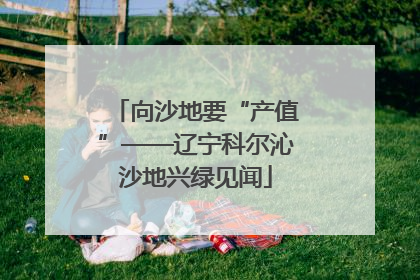 向沙地要“产值”——辽宁科尔沁沙地兴绿见闻