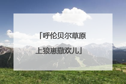 呼伦贝尔草原上狼崽撒欢儿