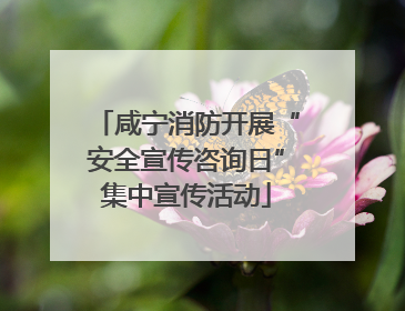 咸宁消防开展“安全宣传咨询日”集中宣传活动