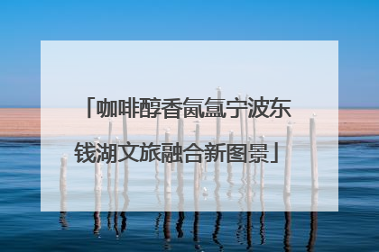 咖啡醇香氤氲宁波东钱湖文旅融合新图景