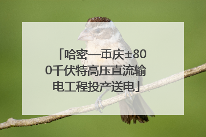 哈密—重庆±800千伏特高压直流输电工程投产送电