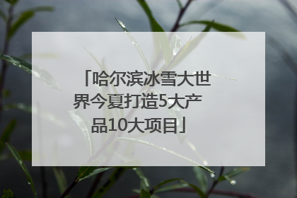 哈尔滨冰雪大世界今夏打造5大产品10大项目