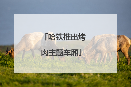 哈铁推出烤肉主题车厢