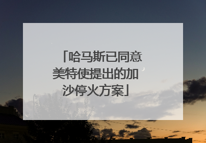 哈马斯已同意美特使提出的加沙停火方案