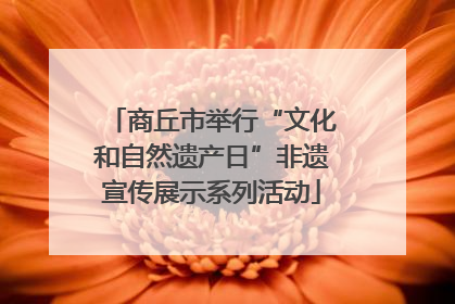商丘市举行“文化和自然遗产日”非遗宣传展示系列活动