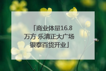商业体量16.8万方 乐清正大广场银泰百货开业