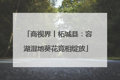 商视界丨柘城县：容湖湿地葵花竞相绽放