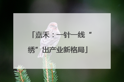 嘉禾：一针一线“绣”出产业新格局