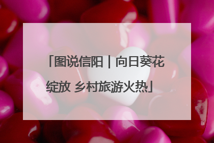 图说信阳｜向日葵花绽放 乡村旅游火热