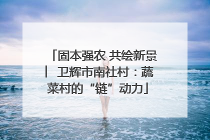 固本强农 共绘新景 ︳卫辉市南社村：蔬菜村的“链”动力