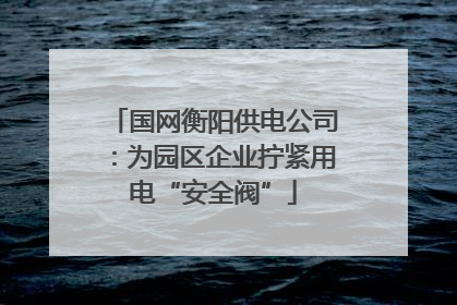 国网衡阳供电公司：为园区企业拧紧用电“安全阀”