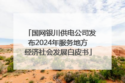 国网银川供电公司发布2024年服务地方经济社会发展白皮书