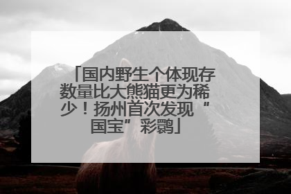 国内野生个体现存数量比大熊猫更为稀少！扬州首次发现“国宝”彩鹮