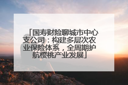 国寿财险聊城市中心支公司：构建多层次农业保险体系，全周期护航樱桃产业发展