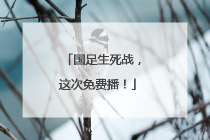 国足生死战，这次免费播！