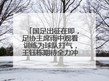 国足出征在即，足协主席雨中观看训练为球队打气，王钰栋期待全力冲击印尼队