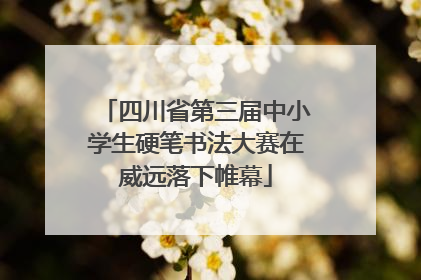 四川省第三届中小学生硬笔书法大赛在威远落下帷幕