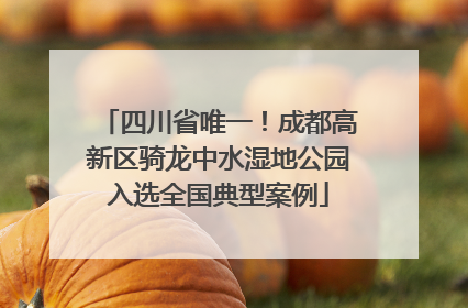 四川省唯一！成都高新区骑龙中水湿地公园入选全国典型案例