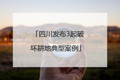 四川发布3起破坏耕地典型案例