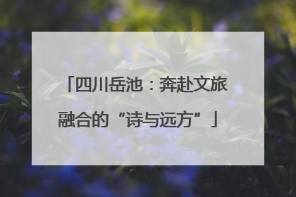 四川岳池：奔赴文旅融合的“诗与远方”