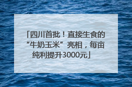 四川首批！直接生食的“牛奶玉米”亮相，每亩纯利提升3000元
