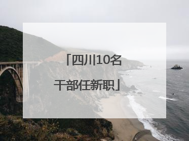 四川10名干部任新职
