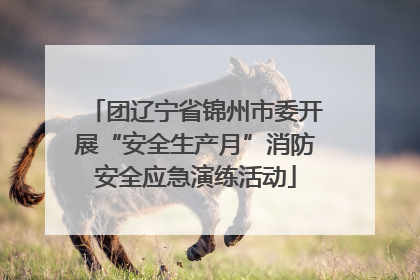 团辽宁省锦州市委开展“安全生产月”消防安全应急演练活动