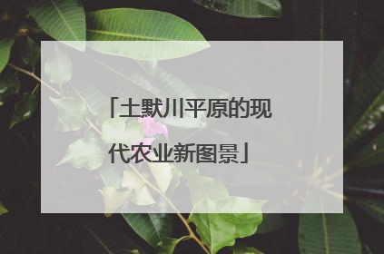 土默川平原的现代农业新图景