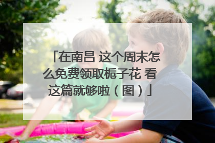 在南昌 这个周末怎么免费领取栀子花 看这篇就够啦（图）