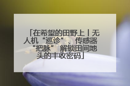 在希望的田野上丨无人机“巡诊”、传感器“把脉” 解锁田间地头的丰收密码