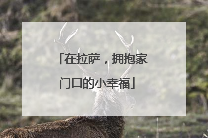 在拉萨，拥抱家门口的小幸福