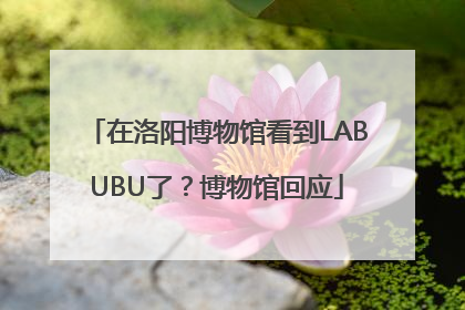 在洛阳博物馆看到LABUBU了？博物馆回应