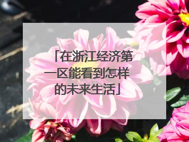 在浙江经济第一区能看到怎样的未来生活