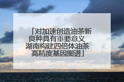 对加速创造油茶新良种具有重要意义 湖南构建四倍体油茶高精度基因图谱